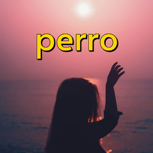perro
