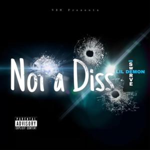 Not A Diss