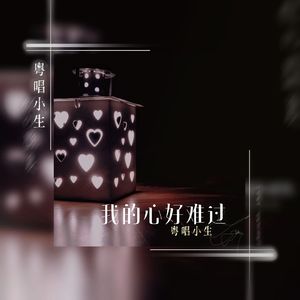 我的心好难过（DJ洛洛版）