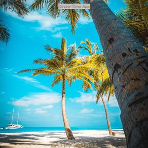 适合在家工作现代的音乐