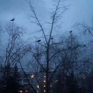 山跟山是无法相会的