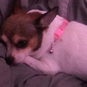 ก็เธอน่ารักอ่ะ