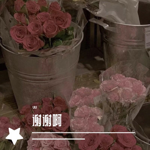 雨爱