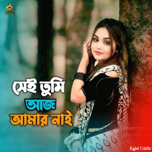 Sei Tumi Aj Amar Nai | সেই তুমি আজ আমার নাই...
