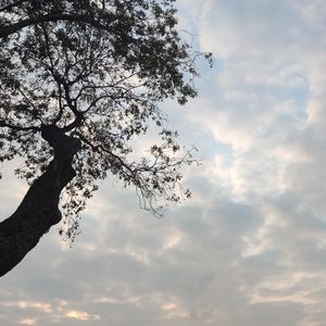 空耳（cover:单依纯）