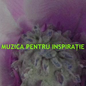 Muzica Pentru Inspira?ie