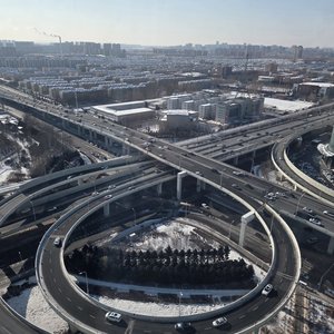 宠物的欢乐时光