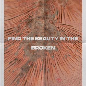Find The Beauty In The Broken
