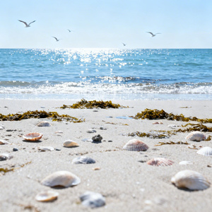 海滩假日