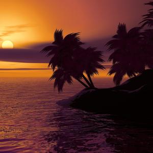 Арабский нашид