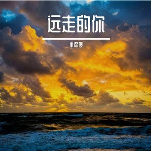 远走的你