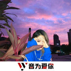 一路火花带闪电 (DJ版)