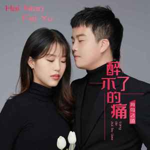 醉不了的痛 (DJ默涵版)