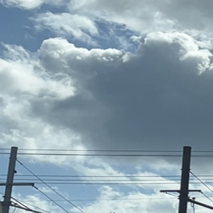 ドキュメンタリー (Ume. ver)