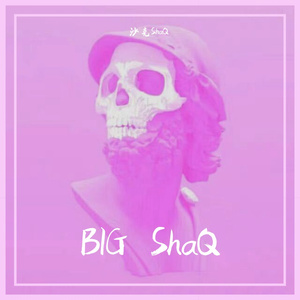 BIG ShaQ