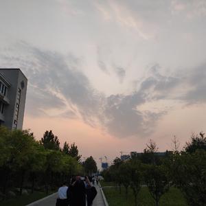 我的心在海对面