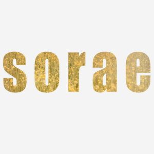 나의 그대 (Inst.)