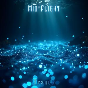 Mid Flight