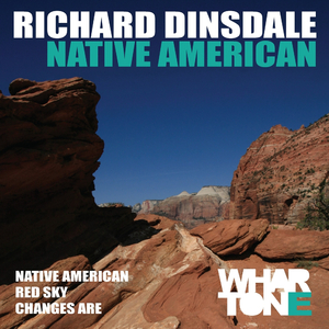 Native American (Original Mix)