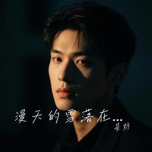 漫天的雪落在想你的夜