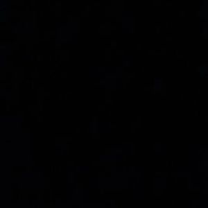 歪脑筋（foolish）