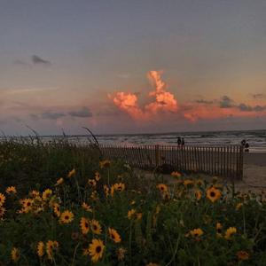 微風夕陽墜落的流星與你