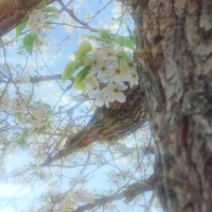 我们都会幸福的a