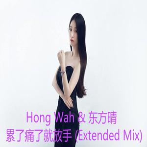 东方晴儿-东方晴儿 - 累了痛了就放手 (DJ雅康 Extended Mix)（DJ骓康 / 东方晴儿 remix）