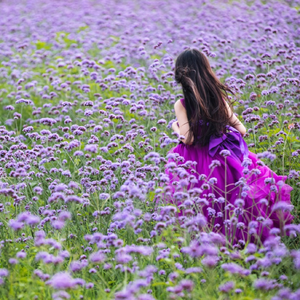 幸福者，退让吧
