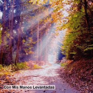 Con Mis Manos Levantadas (Piano Instrumental)