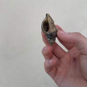 dull (feat. ivri & Viren)