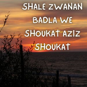 Shale Zwanan Badla We