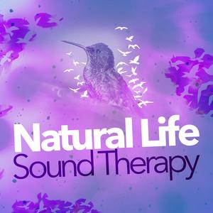 Water Under the Bridge