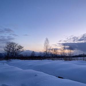 长日将尽 （Feat. Yiyi)