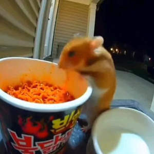 Soul Survivor (slowed)