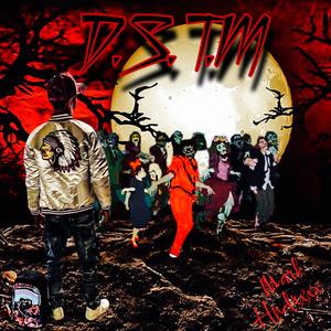 D.S.T.M (Don't Stop The Music)