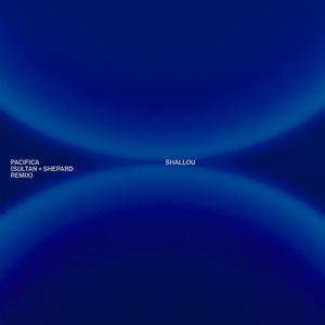 Pacifica (Sultan + Shepard Remix)