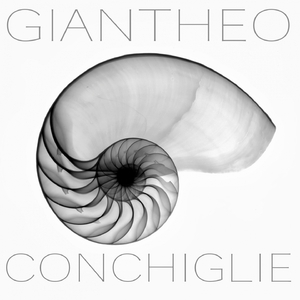 Conchiglie