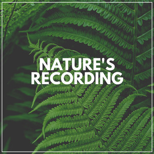 Nature Soundscapes, Pt. 7