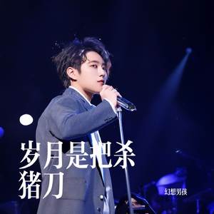 岁月是把杀猪刀