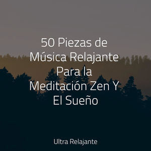 La Paz De La Calma