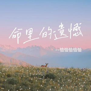 命里的遗憾 (DJ九零版)