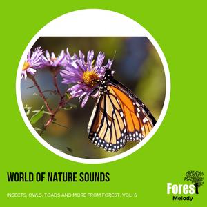 Beautifully Flexible Rattle Snake