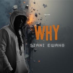 Why (feat. Silver)