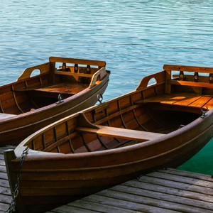 《温暖的陪伴》