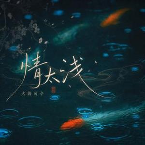 情太浅