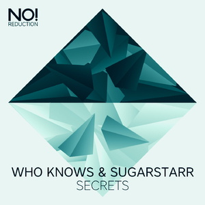 Secrets (Who Knows Mix)