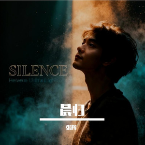 张辉-晨归 DJ （张辉 remix）