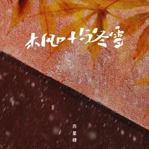 枫叶与冬雪 (DJAh版)