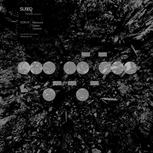 Blackwood (Original Mix)
